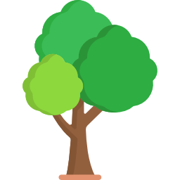 uncram surprise test